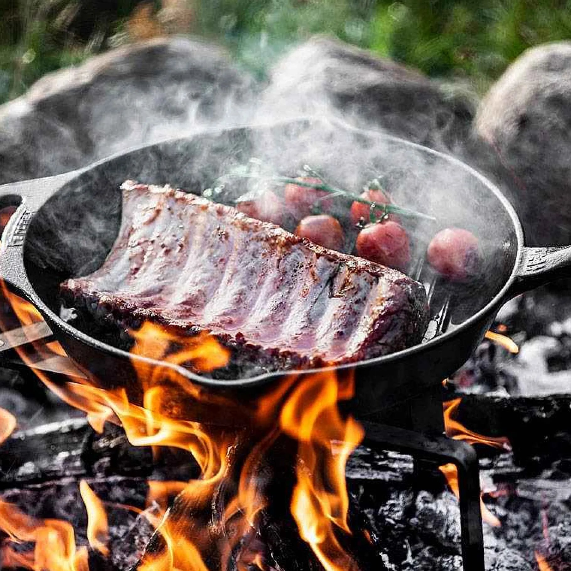 Petromax Gusseisenpfannen>Grillfeuerpfanne Mit Griff