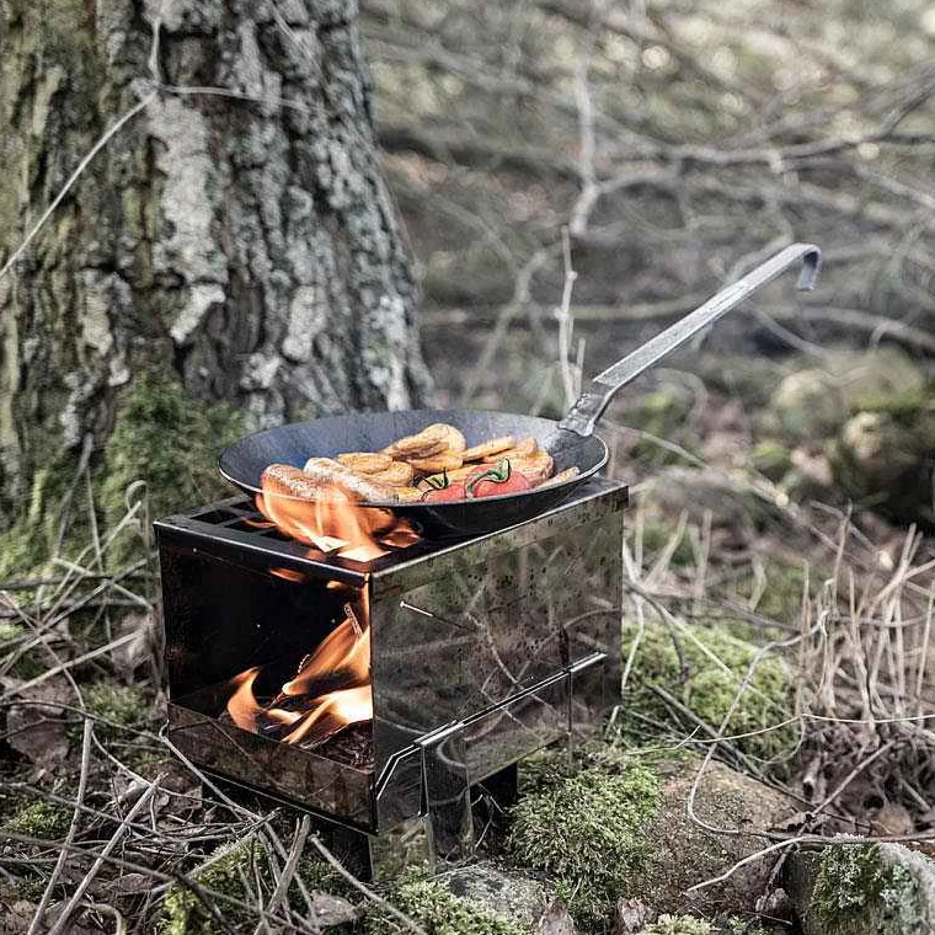 Petromax Grills>Plug-In-Herd